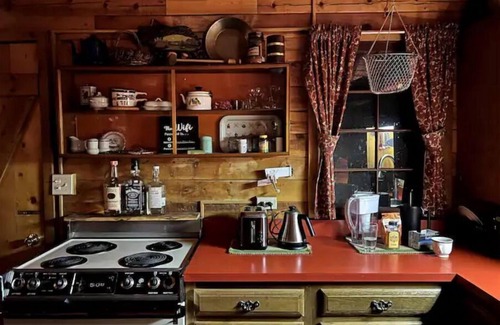 Nathrop Cabin | Iconic Log Cabin w/Wood Burning Hot Tub & Views