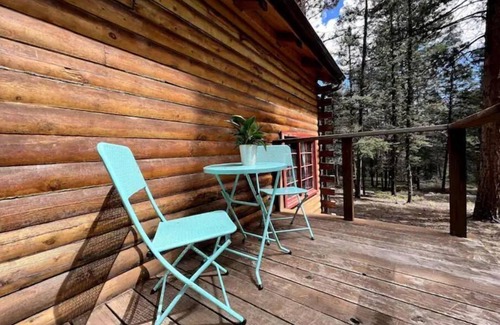 Nathrop Cabin | Iconic Log Cabin w/Wood Burning Hot Tub & Views