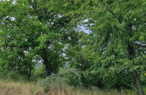 Lecce nei Marsi House | Ideal place to relax surrounded by nature