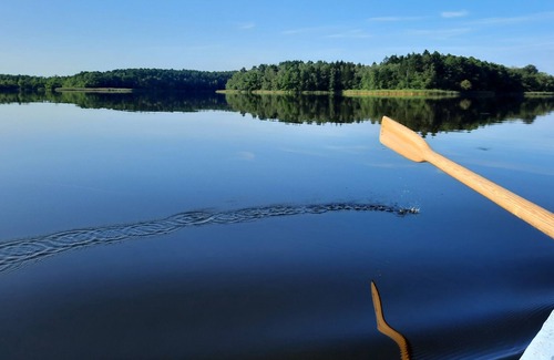Wittstock/Dosse House | Idyll at the Baalsee bungalow, sleeping barrel and rowing boat