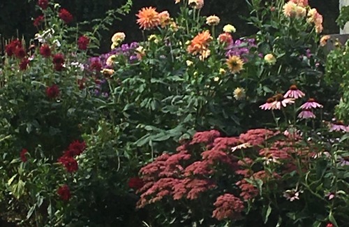 Ernes Apartment | Ifs Appartment for persons with seasonal pool and jacuzzi