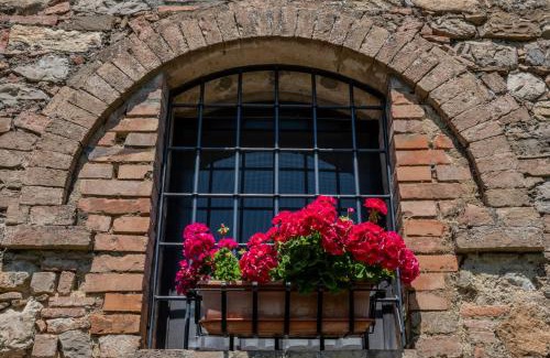 Cetona House | Il Pino Di Spazzavento