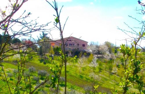 Bettolelle Bed & Breakfast | Il Rifugio dell'Ape Agriturismo