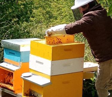 Bettolelle Bed & Breakfast | Il Rifugio dell'Ape Agriturismo