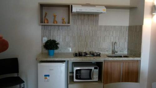 Caldas Novas Apartment | Ilhas do lago Eco Resort Apart