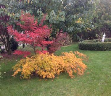 Haldensleben Apartment | Im schönen Garten