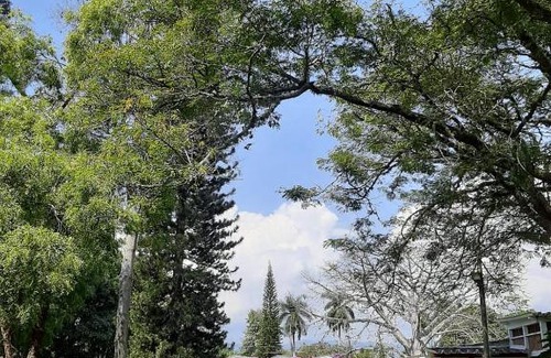 Guadalajara de Buga Hotel | Imca Hotel