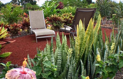 Kailua-Kona Apartment | Immaculate; Air Cond; Ocean/Garden views;GIG WiFi6 S