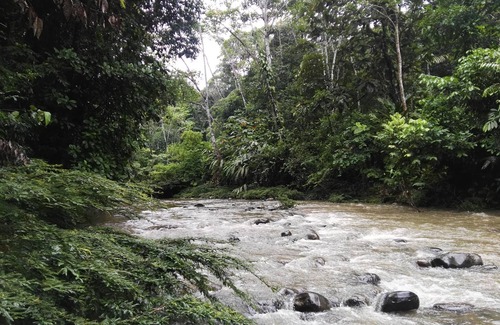 Ramonurcu Cabin | In The Jungle Cabins, Tawankar community