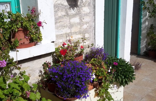 Le Bois-Plage-en-Re House | independent house in property retaise for 4 people