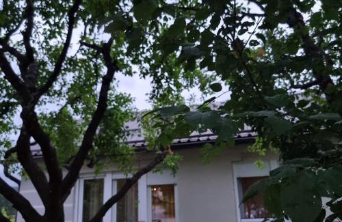 Ogulin Apartment | Indigo Dreams