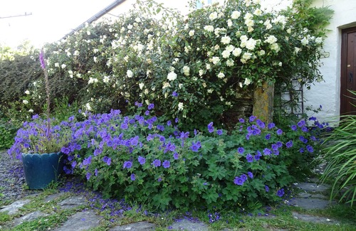 Challacombe Cottage | Inglenook Cottage, Exmoor. Log fire, garden, WiFi, parking, pets welcome.