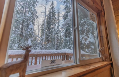 College Cabin | Iniakuk Forest Cabin Sleeps 4