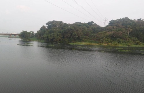 Kakkanad Villa | Inside the CITY but village atmosphere, calm and serene, opens to the river