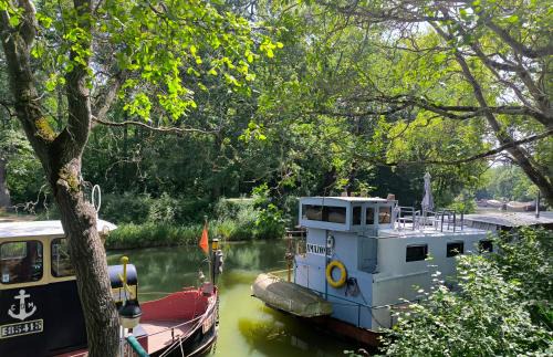 Gardouch Boat Rental | Insolite Péniche Amazonie canal du midi