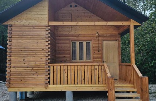 Ambrolauri House | inSxvava