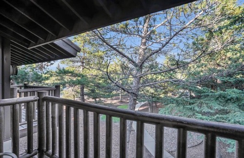 North Park City Apartment | Intimate Mtn Studio, Walk to Main St