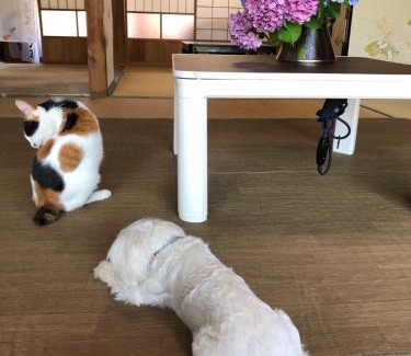 Yasuda-cho House | Ioki Station Guest House