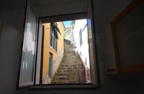 Manarola Apartment | IRMA Manarola