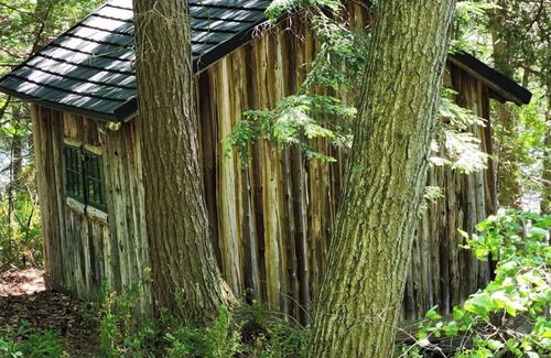 Town of Diana Cabin | ISLAND with PRIVATE BEACH "LOON ISLAND"
