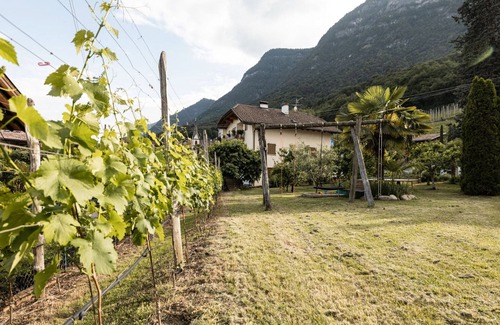 Caldaro Sulla Strada del Vino Apartment | 724B Residence Hofgarten