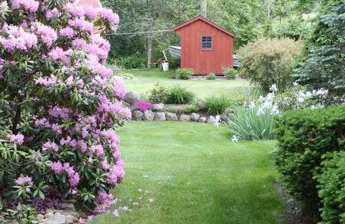 Hammondsport House | Its a Grape Life Renters Paradise, Keuka Lake East Side, level lot, pebble beach