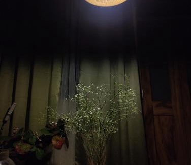 Darjeeling House | Ivory Botanic Stay