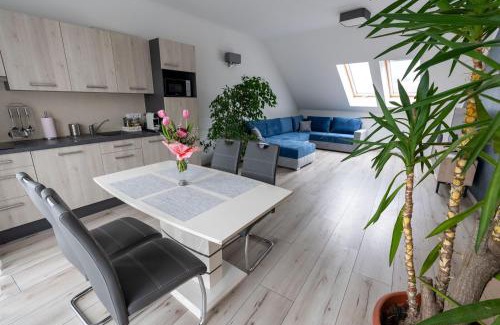Dunafoldvar Apartment | Jókai Apartman