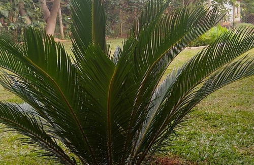 Jaboticatubas House | Jacarandá Chalés em SÃO José DA Serra MG