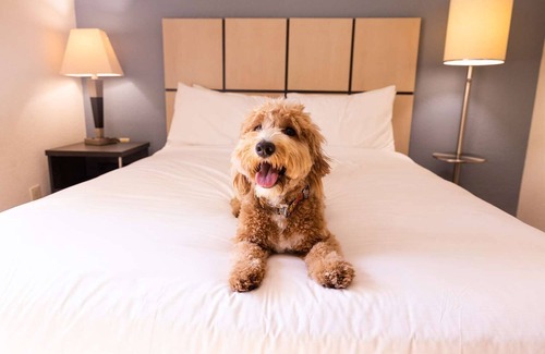 Baymeadows Hotel | Jacksonville Hideaway: Comfortable Suite near The Cummer Museum! W/Kitchen!