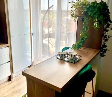 Baia Mare Apartment | Jacuzzi Apartment
