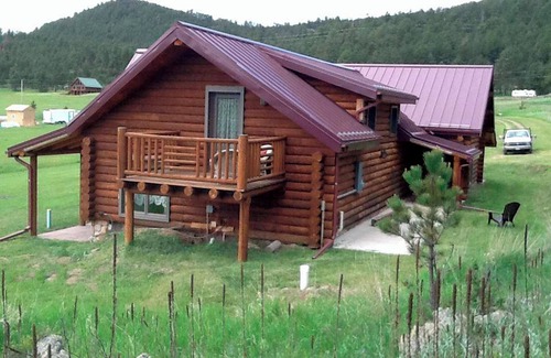 Custer Cabin | Jade Pines, Plenty of entertainment, Pinball, Shuffle Bowl, Darts, Outdoor Sauna