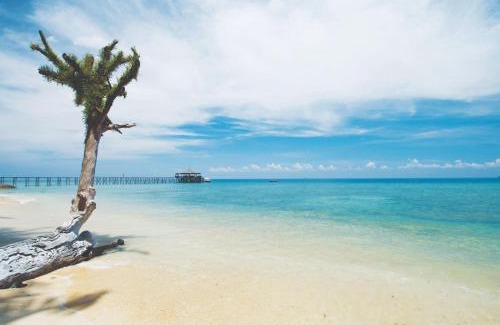 Tioman Island Resort | Japamala Resort by Samadhi Age 12 and Above Only