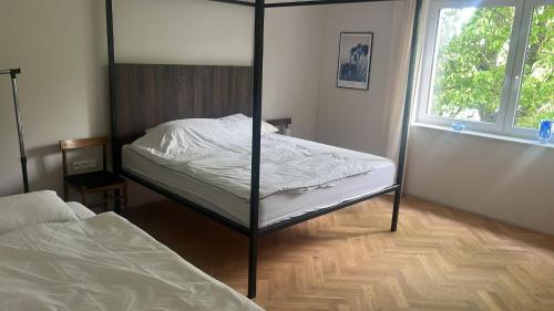 Jelenec Apartment | Jelenec House