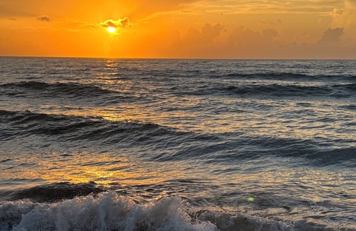 Hutchinson Island South Apartment | Jensen Beach FL "STAY ON BEACH” Turtle season! Watch babies dash to the sea!