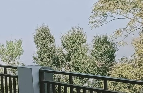 Kausani Apartment | Jfr Studio Apartments Kausani