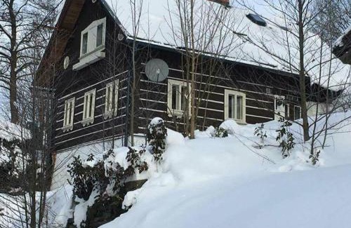 Rokytnice nad Jizerou Apartment | Jizera Cottage