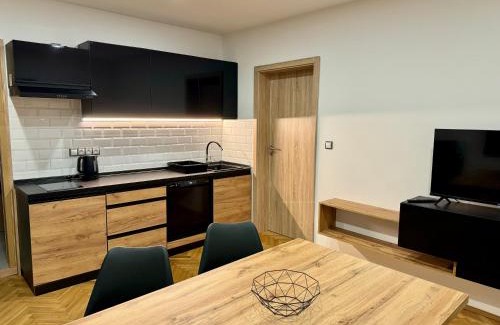 Janov nad Nisou Apartment | Jizerské apartmány Ha&Ha