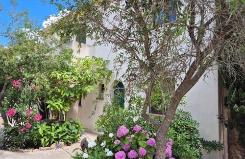 Calvi Apartment | Joli appartement climatisé avec terrasse à moin 10 minutes à pieds de la plage