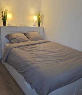 Morteau Apartment | Joli Studio plein centre ville