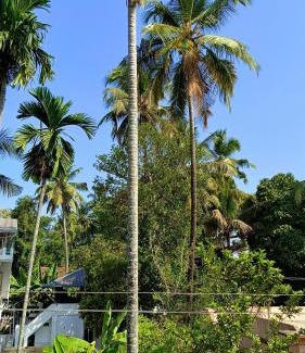 Fort Kochi Bed & Breakfast | Juliet's Homestay