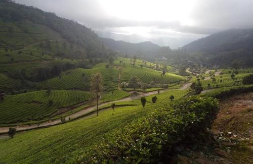 Devikolam House | Jungle View Homestay