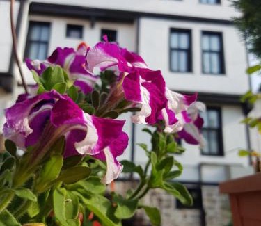 Kastamonu Hotel | Kadıoğlu Konağı