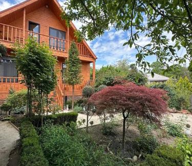 Telavi Apartment | Kakheti Telavi