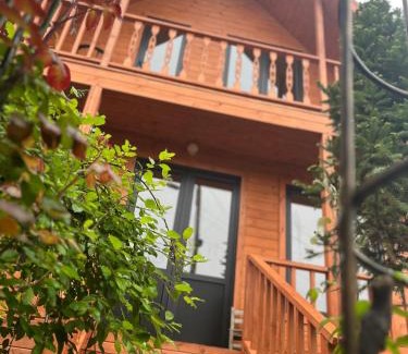 Telavi Apartment | Kakheti Telavi