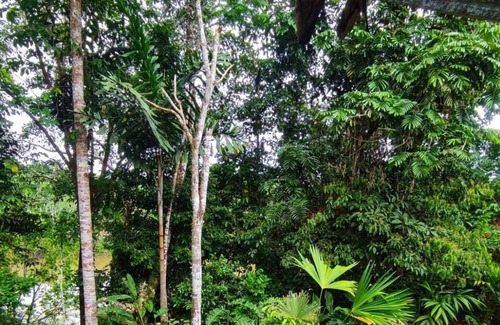Misahualli Cabin | Kallari Lookout