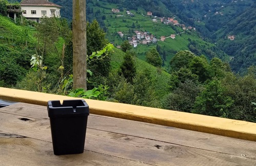 Ayder Ski Chalet | Kamelya Dag Evleri