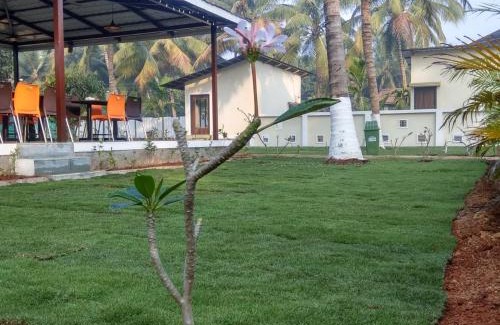 Alibaug Hotel | Kapil's Beach Resort