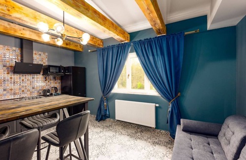 Karlovy Vary Apartment | Karlovy Charme Inn: Deluxe 1BR Apt No.638 with View