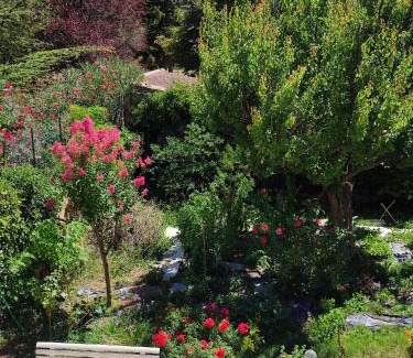 Bollene House | KEUR JANT BI